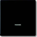 Busch-Jaeger Bedienelement Memory 6543-885-101