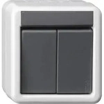 Gira KNX Taster BA 2fach grau AP 1Punkt 516130