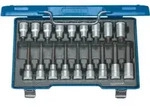 Gedore ITX 19 LKP Schraubendreher-Satz 1/2" 18-teilig TX T20-60
