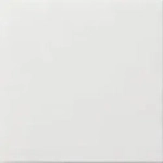 Gira Blindabdeckung rws-gl 0268112