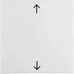 Berker Wippe pws/gl 16208919
