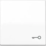 Jung Wippe Symbol T&Uuml;R aws f&uuml;r Taster AS 591 T WW