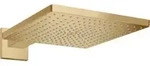 hansgrohe Kopfbrause Raindance E 300 390mm Brausearm, 1jet, brushed bronze