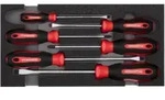 Gedore R22150013 Schraubendrehersatz PH+SL 2/6 CT-Modul 6-teilig