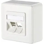 BTR NETCOM Anschlussdose E-DAT modul 8/8(8) AP 1309150002-E rws
