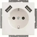 Busch-Jaeger SCHUKO-2x USB Steckdose 20 EUCB2USB-84