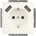 Busch-Jaeger SCHUKO-2x USB Steckdose 20 EUCB2USB-884