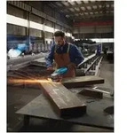 Bosch Winkelschleifer GWS 22-230 P