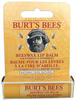 Burt's Bees Pflege Lippen Lip Balm Stick kartoniert Beeswax & Peppermint