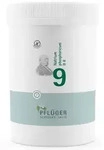 BIOCHEMIE Pfl&uuml;ger 9 Natrium phosphoricum D 6 Tabl. 4000 St
