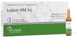 LEDUM HM Injekt Ampullen 10 St