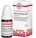 RHUS TOXICODENDRON C 1000 Globuli 10 g