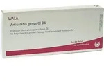 ARTICULATIO genus GL D 6 Ampullen 10X1 ml