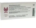 NERVUS STATOACUSTICUS GL D 5 Ampullen 10X1 ml