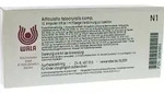 ARTICULATIO talocruralis comp.Ampullen 10X1 ml