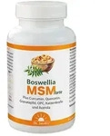 BOSWELLIA MSM forte Dr.Jacob's Tabletten 90 St