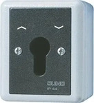 Jung 834.28G, JUNG Schl&uuml;sselschalter 10AX 250V 2-pol. 834.28 G