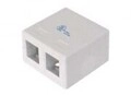 DIGITUS Professional Geh&auml;use mit modularen Eins&auml;tzen wei&szlig; RAL 9010 2 Ports (AT-AG
