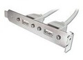 Assmann USB-Konsole Inline 5-polig W bis USB W 25 cm beige (AK-300301-002-E)
