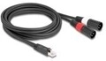Delock Adapterkabel RJ45 Stecker zu 2 x XLR 3 Pin schwarz 2 m Audio/Multimedia