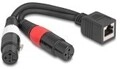 Delock Adapterkabel RJ45 Buchse zu 2 x XLR 3 Pin schwarz 20 cm Audio/Multimedia