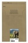 Epson 24 Multipack Easy Mail Packaging 6er-Pack 29.1 ml Schwarz Gelb Cyan Magenta