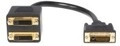 StarTech.com 1 ft DVI-D to 2x Digital Video Splitter Cable M/F Video-Verteiler Dual