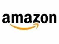 Amazon Kindle Scribe 1. Generation eBook-Reader 16 GB 25,9 cm 10.2 " einfarbig