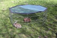 KERBL Freilaufgehege &Oslash; 143 cm 8-eckig, f&uuml;r Kaninchen und Meerschweinchen, 82708