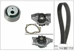 Schaeffler Ina Wasserpumpe + Zahnriemensatz [Hersteller-Nr. 530025831] f&uuml;r Peugeot,