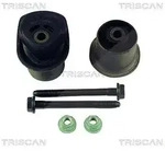 Triscan Lagerung, Achsk&ouml;rper [Hersteller-Nr. 850029830] f&uuml;r Seat, VW