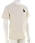 The North Face Evolution Box Half Dome Herren T-Shirt-Beige-L