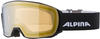 Alpina Nakiska Q-Lite Skibrille-Schwarz-One Size