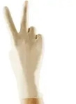 Glovex ultra Vinyl U.-Handschuhe, PF, Gr. 8-9, unsteril (100 Stck.)