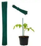 Relaxdays Gr&uuml;ne Pflanzst&auml;be 30 cm im 50er Set Dunkelgr&uuml;n