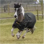 bucas Outdoordecke Irish Turnout light black/gold 165 cm
