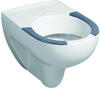 Geberit Renova Wand-Tiefspül-WC mit Sitzflächen, 203045600,