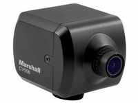 Marshall CV506 HD Mini Kamera