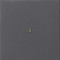Gira 549528, Gira Funk-Bedienaufsatz 549528