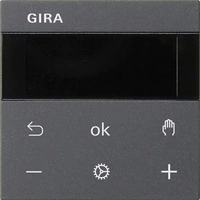 Gira 539328, Gira RTR Display 539328