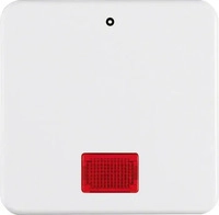 Berker 155809, Berker Wippe pws 155809