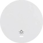 Berker 16212079, Berker Wippe pows/gl 16212079