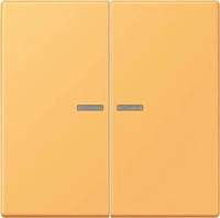 Jung LC995KO5254, Jung Wippe 2fach m. Lichtleiter LC 995 KO5 254