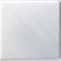 Gira 029603, Gira Wippe Wechselsch. rws-gl 029603