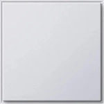 Gira 026866, Gira Blindabdeckung rws 026866