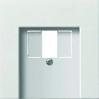 Gira 0276112, Gira Zentralplatte TAE rws-gl 0276112