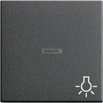 Gira 067428, Gira Wippe Licht anth 067428