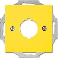 Busch-Jaeger 2CKA001724A4345, Busch-Jaeger Zentralscheibe gelb 2533-914-15