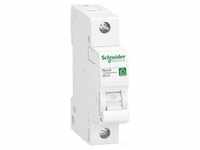 SCHNEIDER ELECTRIC R9F24106, SCHNEIDER ELECTRIC Leitungsschutzschalter R9F24106