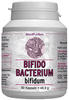 Bifido Bacterium bifidum
